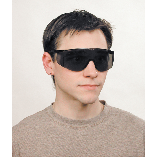 Lunettes de s&eacute;curit&eacute; Tacoma, Lentille Grise/fum&eacute;e, Anti-&eacute;gratignures, ANSI Z87+ St. Lawrence Industrial & Safety Supply