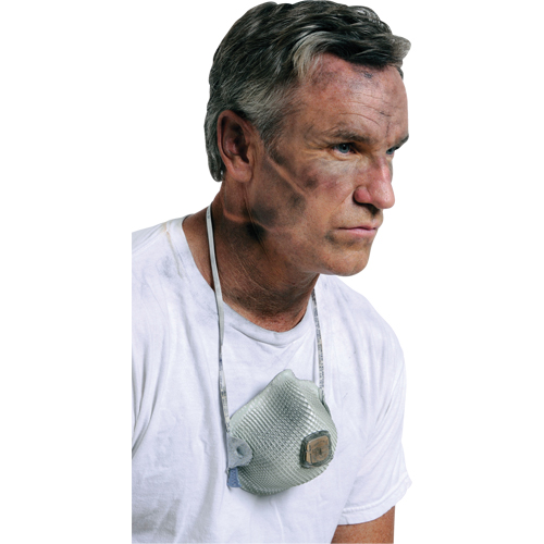 Respirateurs  contre les particules 2700, N95, Certifi&eacute; NIOSH, Grand/Moyen St. Lawrence Industrial & Safety Supply