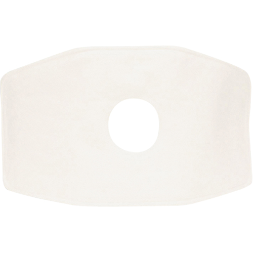 Filtre de rechange North, Filtre contre les particules, Filtre N99 St. Lawrence Industrial & Safety Supply