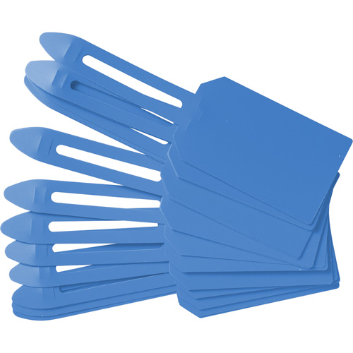 &eacute;tiquettes de cadenassage vierges en plastique, Plastique, 3-1/4" la x 5-4/5" h, Vierge St. Lawrence Industrial & Safety Supply