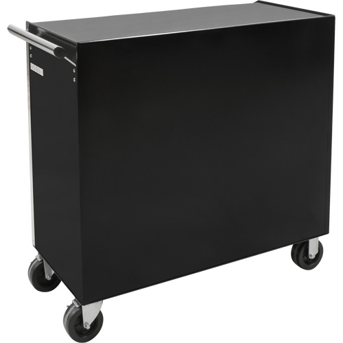 Industrial Tool Cart, 11 Drawers, 41" W x 18-3/4" D x 39-1/3" H, Black St. Lawrence Industrial & Safety Supply