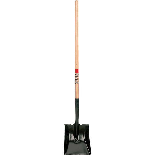 Square Point Shovel, Wood, Tempered Steel Blade, Straight Handle, 42" Long St. Lawrence Industrial & Safety Supply