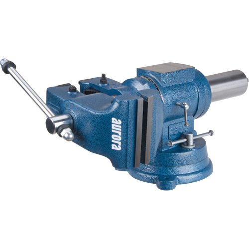 &eacute;tau d'&eacute;tabli &agrave; usages multiples, Largeur des m&acirc;choires 5", Profondeur de la gorge 3-1/10" St. Lawrence Industrial & Safety Supply