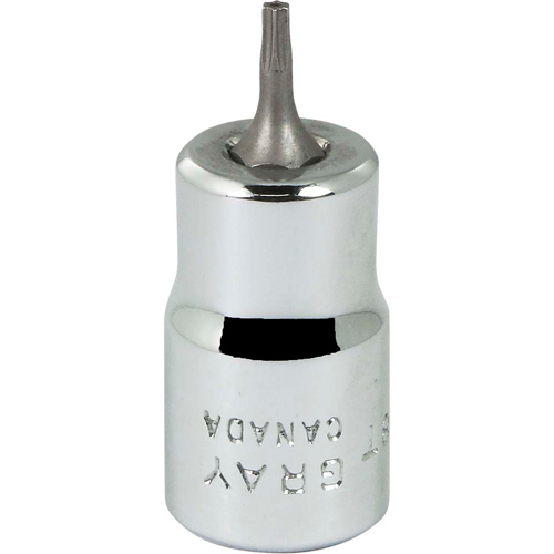 Bit Socket, Torx&reg;, T8 x 2-1/8" L, 3/8" Drive St. Lawrence Industrial & Safety Supply