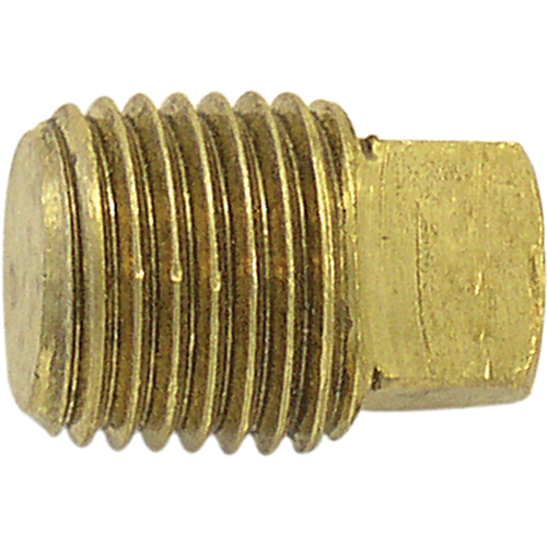 Bouchon de tuyau (t&ecirc;te carr&eacute;e), 1" dia., Laiton St. Lawrence Industrial & Safety Supply