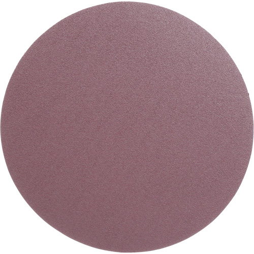 Meule en toile PSA 348D, dia 12", Grain 60, Oxyde d'aluminium, Poids St. Lawrence Industrial & Safety Supply