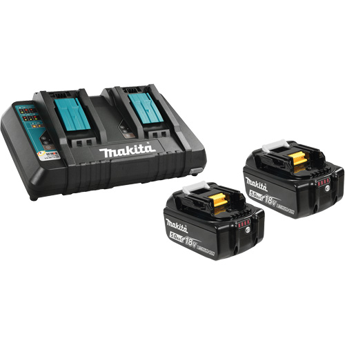 Ensemble de batterie au lithium-ion & chargeur &agrave; double port, 18 V, Lithium-ion St. Lawrence Industrial & Safety Supply