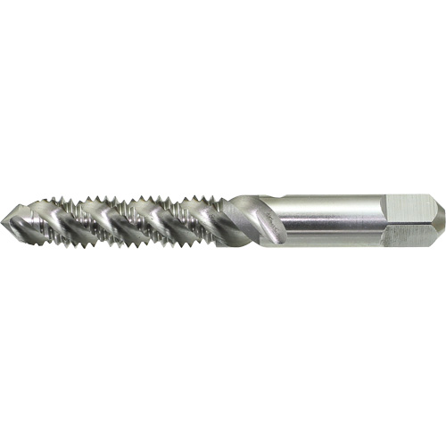 DRILLCO Spiral Flute Hand Tap, High Speed Steel, 1/4"-20 Thread St. Lawrence Industrial & Safety Supply