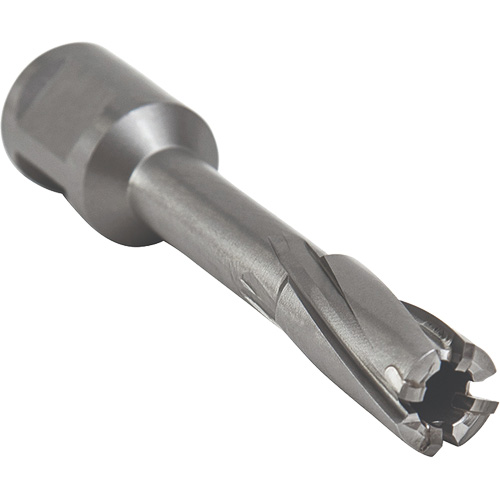 Core Cut Annular Cutter with Weldon Shank, 12 mm Diameter, Carbide, 55 mm Depth of Cut, 3/4" Shank St. Lawrence Industrial & Safety Supply