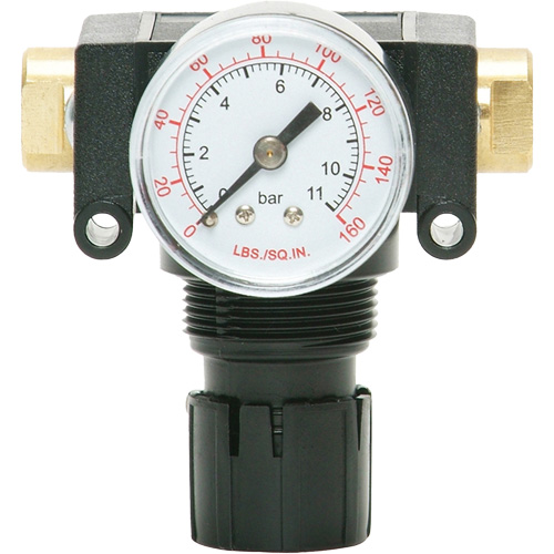 D&eacute;tendeur &agrave; piston en ac&eacute;tal MODULAIR 200, 1/4" NPT, PSI max. de 150 psi, Canalisation/Modulaire St. Lawrence Industrial & Safety Supply
