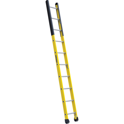 &eacute;chelle &eacute;troite pour trou d'homme, 10', Fibre de verre, 375 lb, CSA calibre 1AA St. Lawrence Industrial & Safety Supply