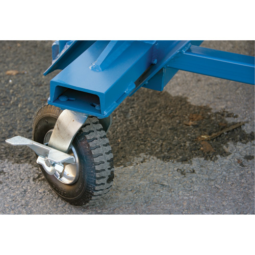 &eacute;chelle &agrave; neige, Acier, 10 Marches, 99" ha, 85-1/2" p, 48" Marche, Stri&eacute; St. Lawrence Industrial & Safety Supply
