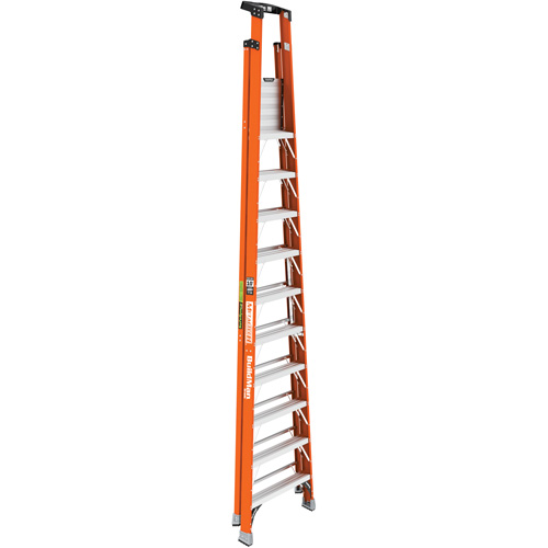 Escabeau avec plateforme Safespace, 10', Cap. De 300 lb St. Lawrence Industrial & Safety Supply