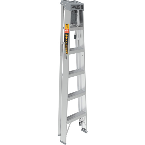 Step Ladder with Paint Tray, 6', Aluminum, 225 lbs. Capacity, Type 2 St. Lawrence Industrial & Safety Supply