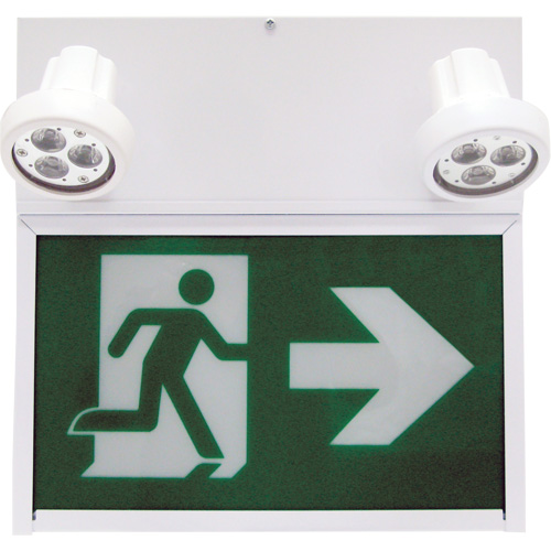 Enseigne de sortie coureur, DEL, &agrave; piles/&agrave; raccordement fixe, 12" lo x 12 1/2" la, Pictogramme St. Lawrence Industrial & Safety Supply