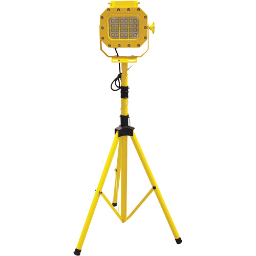 Diffuseur anti-d&eacute;flagration avec tr&eacute;pied, DEL, 40 W, 5600 lumens, Boîtier en Aluminium St. Lawrence Industrial & Safety Supply