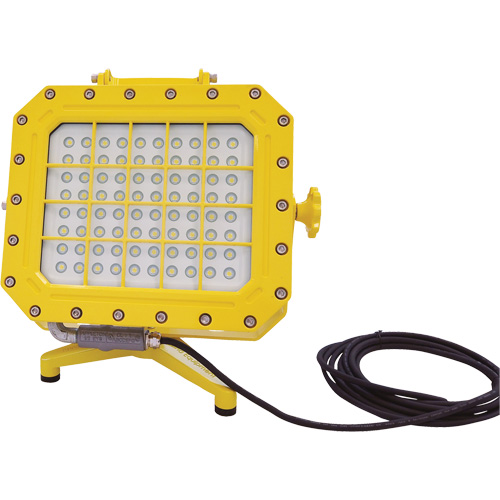 Explosion Proof Floodlight with Floor Stand, LED, 40 W, 5600 Lumens, Aluminum Housing St. Lawrence Industrial & Safety Supply