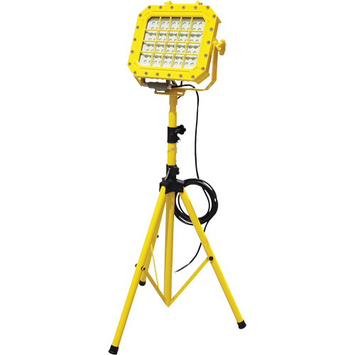 Diffuseur anti-d&eacute;flagration avec tr&eacute;pied, DEL, 40 W, 5600 lumens, Boîtier en Aluminium St. Lawrence Industrial & Safety Supply