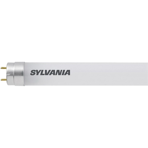 Light Bulb, T8, 12 W, 2100 Lumens, G13 Base St. Lawrence Industrial & Safety Supply