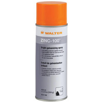 ZINC-100 Bright Galvanizing Spray, Aerosol Can St. Lawrence Industrial & Safety Supply
