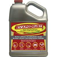 Agent antirouille super s&eacute;curitaire Evapo-Rust, Cruche St. Lawrence Industrial & Safety Supply