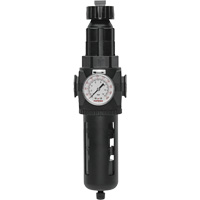Filtre/r&eacute;gulateur Modulair 400 avec vidange manuelle, 3/4" NPT, 200 psi, Capacit&eacute; de 9,1 oz liq. St. Lawrence Industrial & Safety Supply