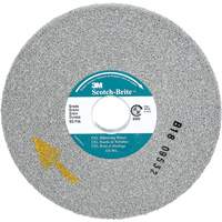 Scotch-Brite EXL Deburring Wheel, 6" x 1/2", 1" Arbor, Aluminum Oxide St. Lawrence Industrial & Safety Supply
