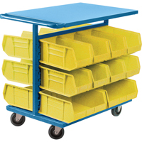 Bin Cart with Bins, Double-sided, 20 bins, 24" W x 38-1/2" D x 36-1/2" H St. Lawrence Industrial & Safety Supply