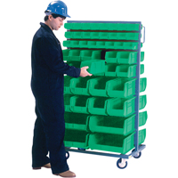 Double-Sided Mobile Bin Rack, Double-sided, 96 bins, 36" W x 24" D x 63" H St. Lawrence Industrial & Safety Supply