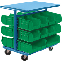 Bin Cart with Bins, Double-sided, 20 bins, 24" W x 38-1/2" D x 36-1/2" H St. Lawrence Industrial & Safety Supply
