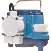 Submersible Pumps, 1/3 HP, 46 GPH, 115 V, 9 A St. Lawrence Industrial & Safety Supply
