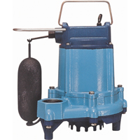 Pompes submersibles/pour effluents, 53 gal./h, 115 V, 5 A, 1/3 CV St. Lawrence Industrial & Safety Supply