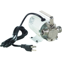 Pompes de transfert &agrave; amorçage automatique, non submersibles en laiton plaque - Pompe seulement, 115 V, 360 gal./h, 1/10 CV St. Lawrence Industrial & Safety Supply