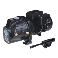 Pompe &agrave; jet en fonte &agrave; double tension transformable, 230 V, 920 gal./h, 1 CV St. Lawrence Industrial & Safety Supply