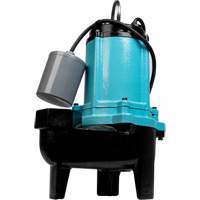 Pompe d'&eacute;gouts de s&eacute;rie 10SC, 115 V, 11 A, 120 gal./min, 1/2 CV St. Lawrence Industrial & Safety Supply