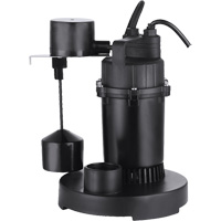 Pompe de puisard submersible thermoplastique, 2560 gal./h, 115 V, 4,6 A, 1/3 CV St. Lawrence Industrial & Safety Supply