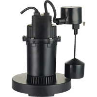 Pompe de puisard submersible thermoplastique, 2560 gal./h, 115 V, 4,6 A, 1/3 CV St. Lawrence Industrial & Safety Supply