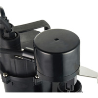Pompe de puisard submersible thermoplastique, 2560 gal./h, 115 V, 4,6 A, 1/3 CV St. Lawrence Industrial & Safety Supply