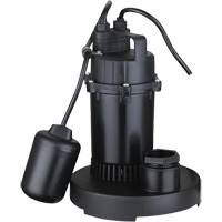 Pompe de puisard submersible thermoplastique, 2560 gal./h, 115 V, 4,6 A, 1/3 CV St. Lawrence Industrial & Safety Supply