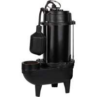 Pompe d'effluent en fonte, 4800 gal./h, 120 V, 7,8 A, 1/2 CV St. Lawrence Industrial & Safety Supply