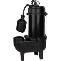 Cast Iron Sewage Pump, 120 V, 9.5 A, 6000 GPH, 1/2 HP St. Lawrence Industrial & Safety Supply