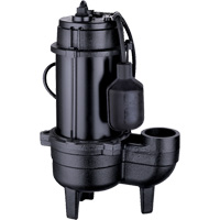 Cast Iron Sewage Pump, 120 V, 9.5 A, 6000 GPH, 1/2 HP St. Lawrence Industrial & Safety Supply