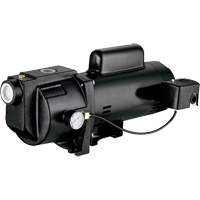 Pompe &agrave; jet en fonte &agrave; double tension pour puit peu profond, 115 V/230 V, 1260 gal./h, 1 CV St. Lawrence Industrial & Safety Supply