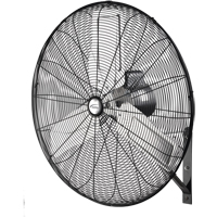 Ventilateur mural non oscillant, Industriel, 2 vitesses, Diam&egrave;tre de 30" St. Lawrence Industrial & Safety Supply