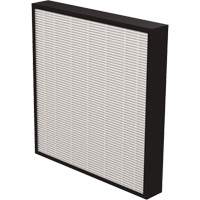 AeraMax&reg; Pro AM3 & AM4 2" True HEPA Filter, Box, 13.75" W x 2.25" D x 14.38" H St. Lawrence Industrial & Safety Supply