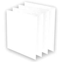 AeraMax&reg; Pro AM3 or AM4 Pre-Filters, 13.75" W x 0.13" D x 14.38" H St. Lawrence Industrial & Safety Supply
