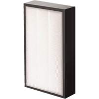 AeraMax&reg; Pro AM2 1-3/4" True HEPA Filter, Box, 7.38" W x 1.88" D x 12.88" H St. Lawrence Industrial & Safety Supply