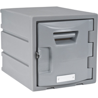 Locker, 12" x 15" x 12", Grey, Assembled St. Lawrence Industrial & Safety Supply