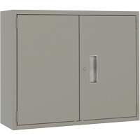 Wall Mounted Cabinet, Steel, 2 Shelves, 30" H x 36" W x 12" D, Grey St. Lawrence Industrial & Safety Supply