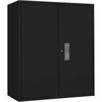 Lo-Boy Storage Cabinet, Steel, 2 Shelves, 42" H x 36" W x 18" D, Black St. Lawrence Industrial & Safety Supply